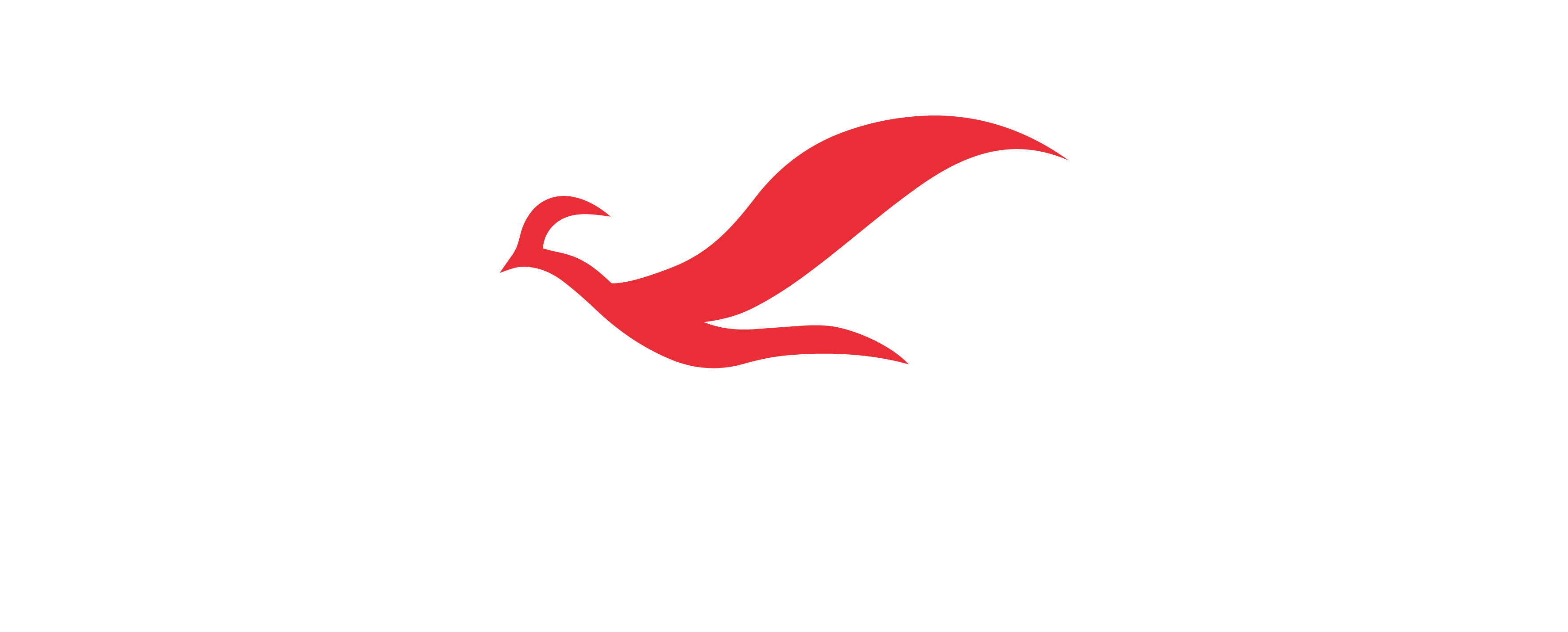 Redbird Water white logo with Red bird